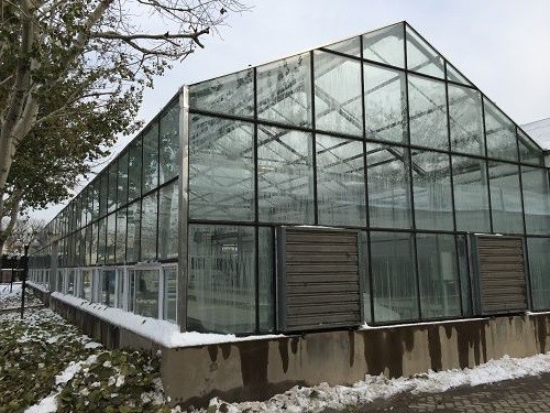 image003001 image003001