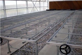 Nursery Of Greenhouse